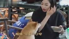 辉叔爆料娱乐八卦视频,娱乐圈幕后真相大曝光！