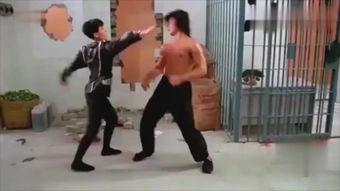 力王粤语高清在线观看,激战巅峰，热血沸腾的武术传奇